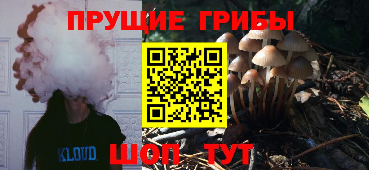 Галлюциногенные грибы прущие грибы  Вход с VPN  Липецк 