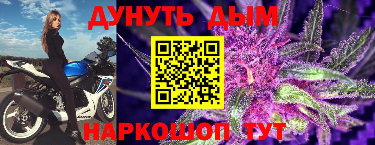 Бошки Шишки план Липецк